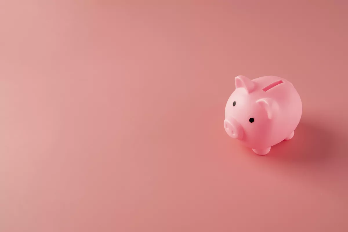 Core Web Vitals Pagespeed mit kleinem Budget: Kosteneffiziente Wege zur Steigerung der Website-Leistung