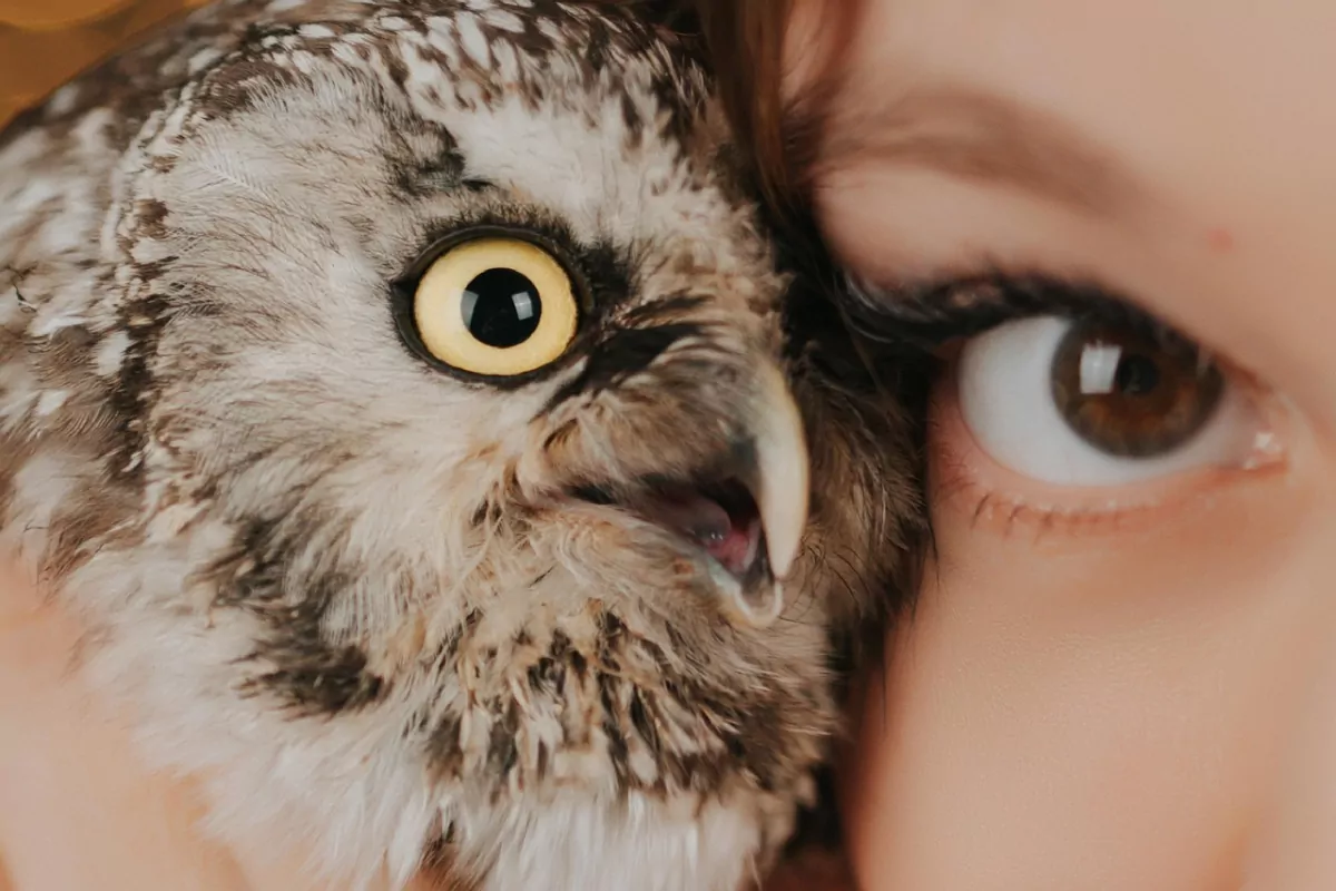 Core Web Vitals Scheduling dataLayer Events to optimize the INP