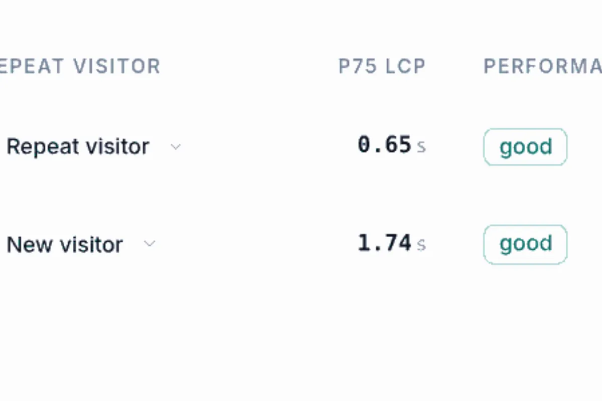 Core Web Vitals Use efficient cache lifetimes in Lighthouse: how to fix it