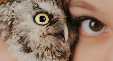 Scheduling dataLayer Events to optimize the INP