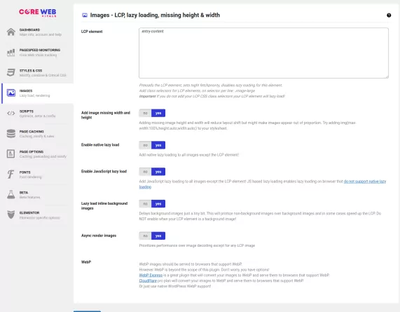 Website Core Web Vitals Audit