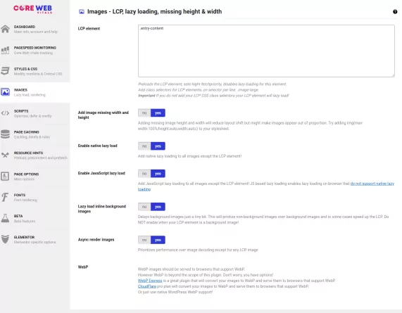 Website Core Web Vitals Audit