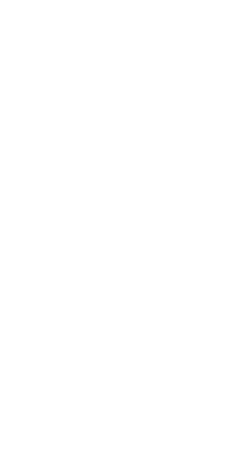 Phone screen two seconds into loading the dental practice home page before the fix: still completely white