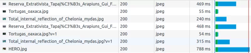 lazy lcp image network