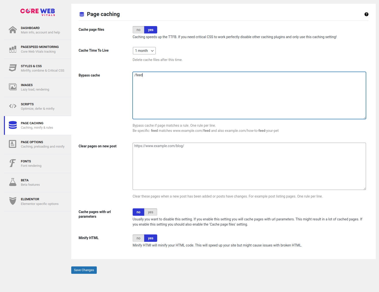 Website Core Web Vitals Audit