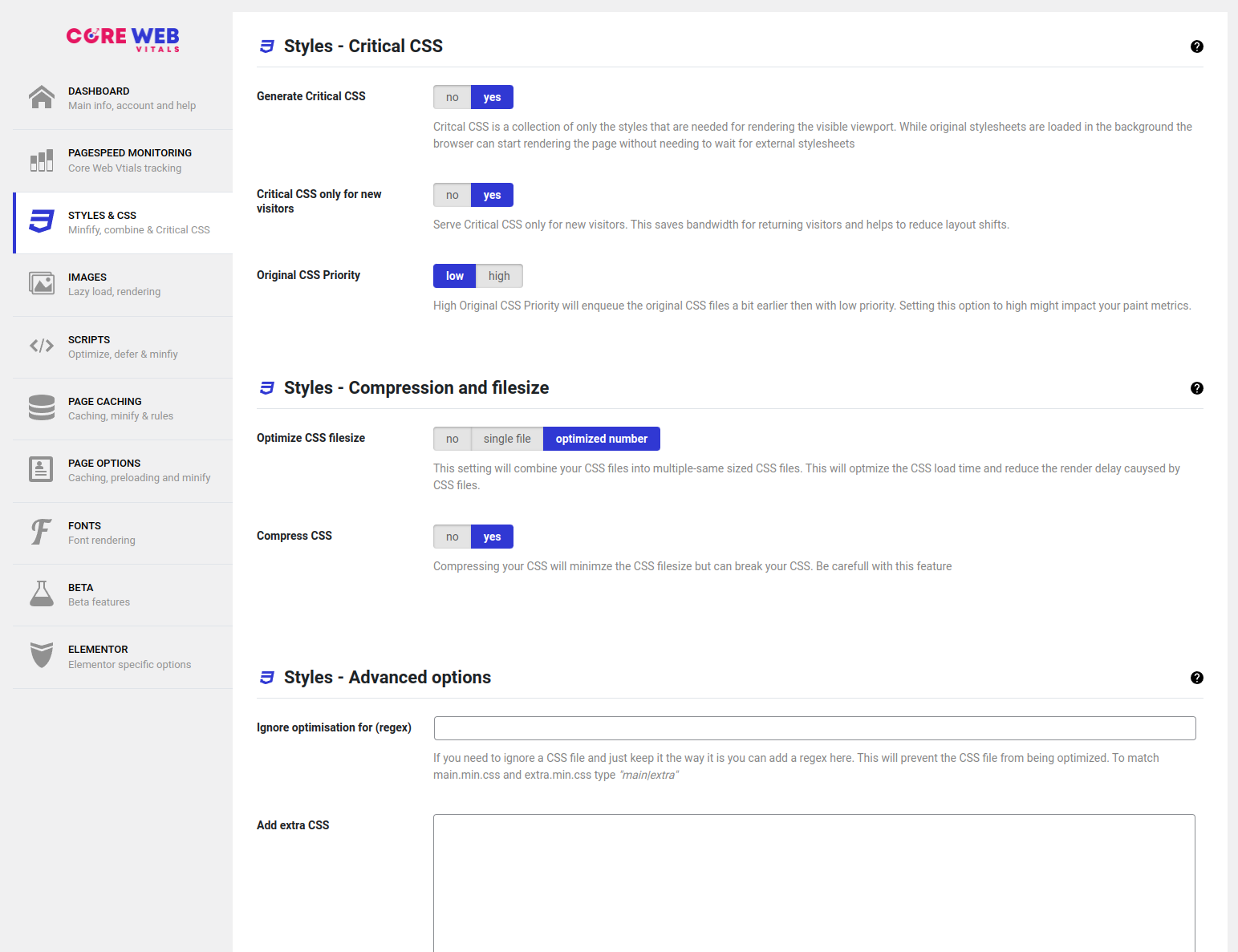 Website Core Web Vitals Audit