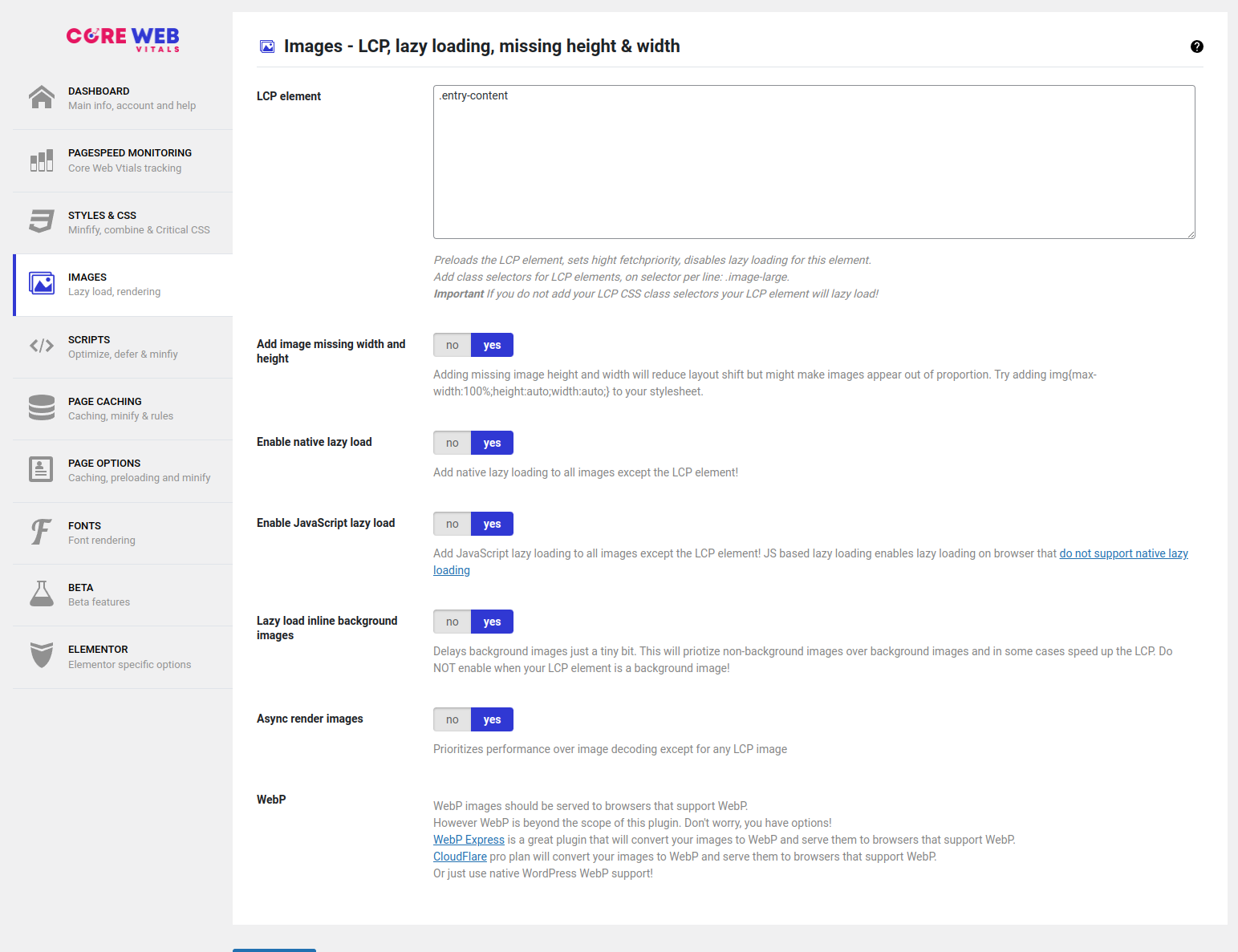 Website Core Web Vitals Audit