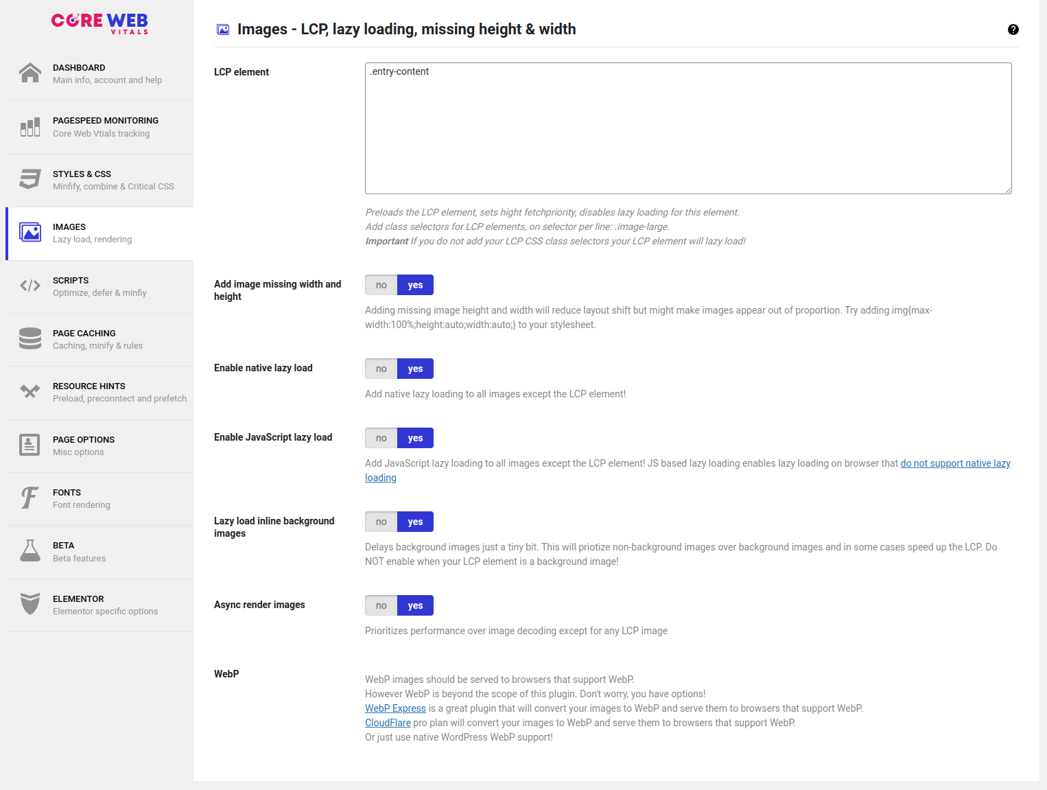 Website Core Web Vitals Audit